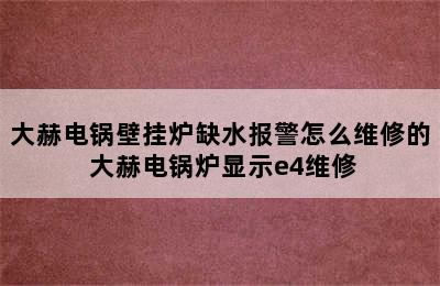 大赫电锅壁挂炉缺水报警怎么维修的 大赫电锅炉显示e4维修